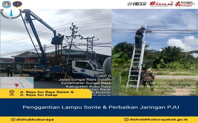 Penggantian Lampu Sonte & Perbaikan Jaringan PJU
